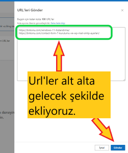 Bing toplu url ekleme