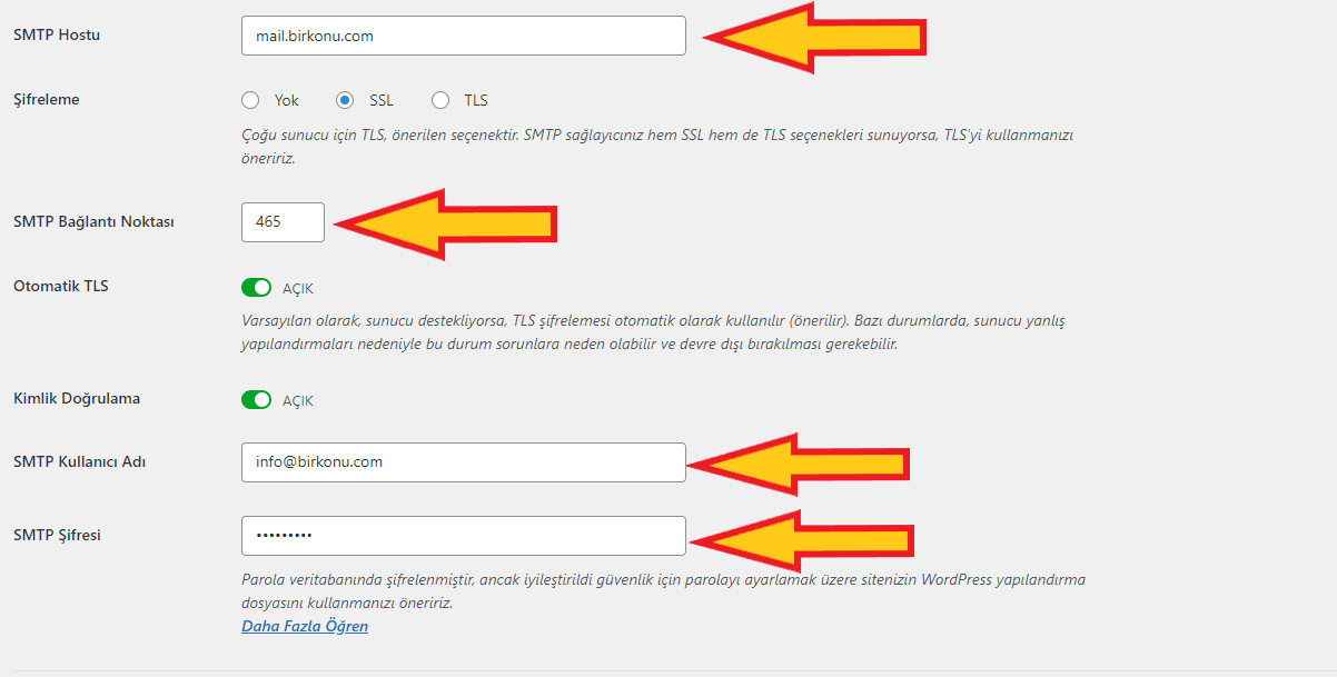 Wordpres Wp Mail SMTP ayarları nasıl olmalıdır