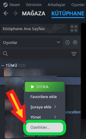 Steam oyun özellikleri