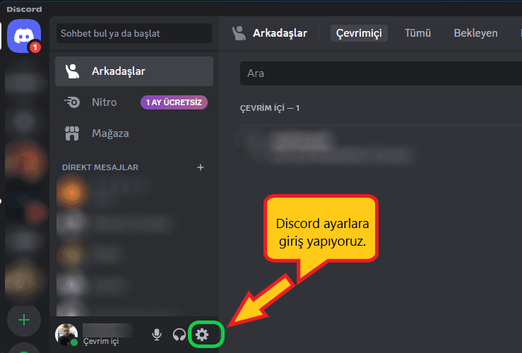Discord ayarlar rtc