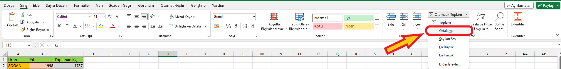 Excel menüden ortalama hesaplama