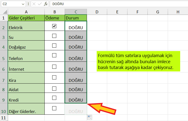 Excel onay kutusu formülü