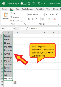 Excel tekrarlayan degerleri bulmak