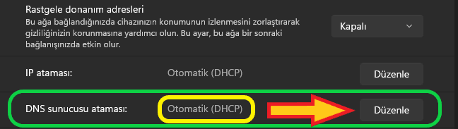 Windows 11 dns değiştirme