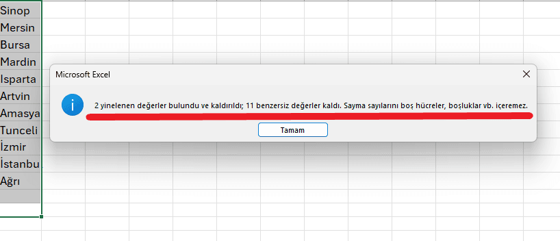 excel aynı isimleri bulma ve silme