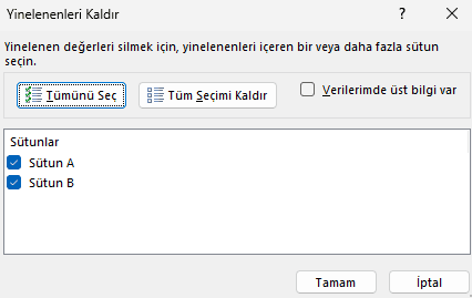 excel aynı isimleri kaldırma