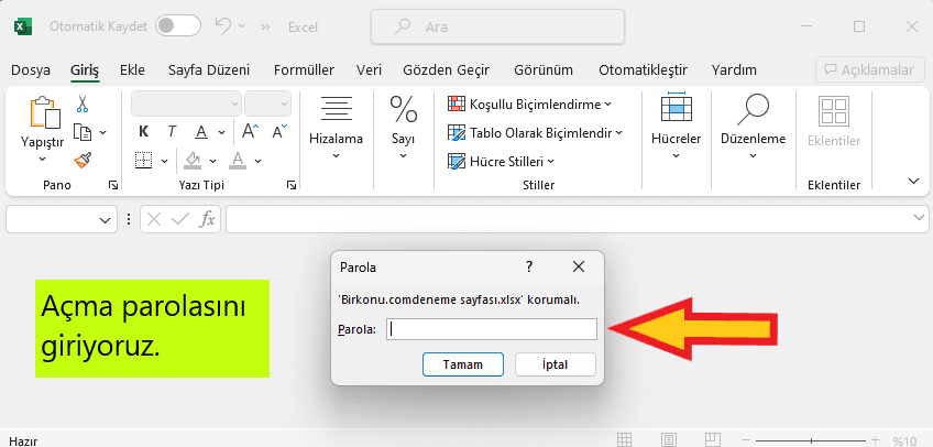 excel şifre koyma