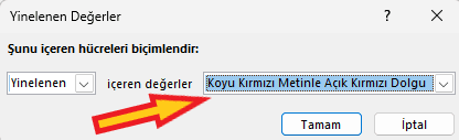 excel tekrarlan değerleri renklendirme