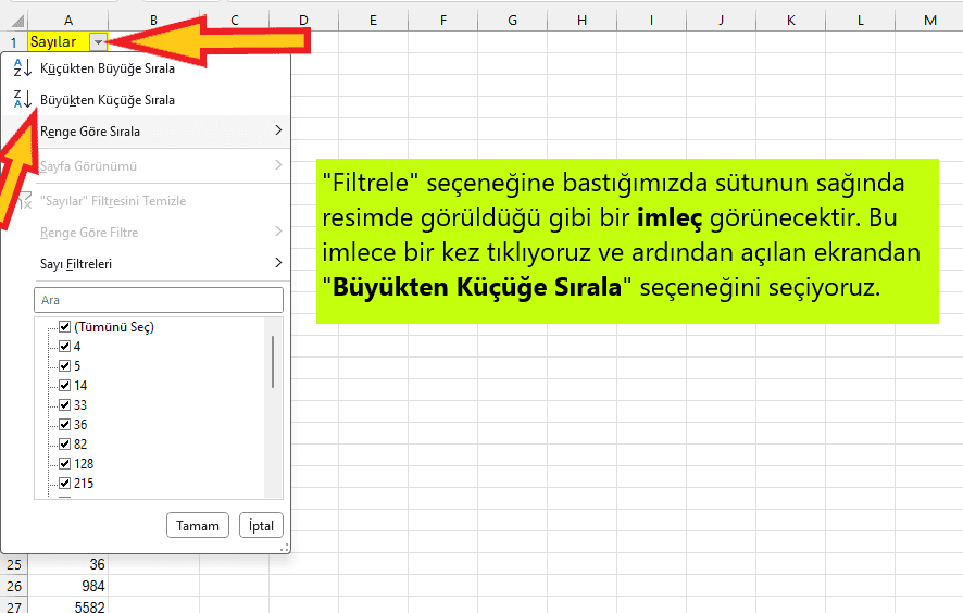 excel büyükten küçüğe sıralama