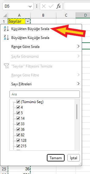 excel filtreleme ile sıralama yapma