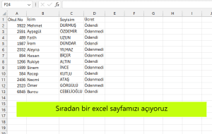 excel renklendirme seçeneği