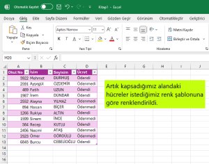 excel tablo renklendirme