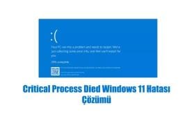 Critical Process Died Windows 11 Hatası