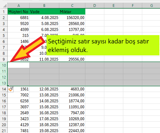excel manuel satır ekleme 