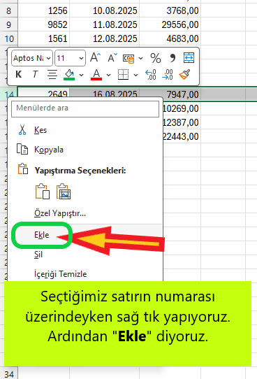 satır ekleme excel