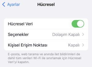 internet bağlantısı kontrol etme